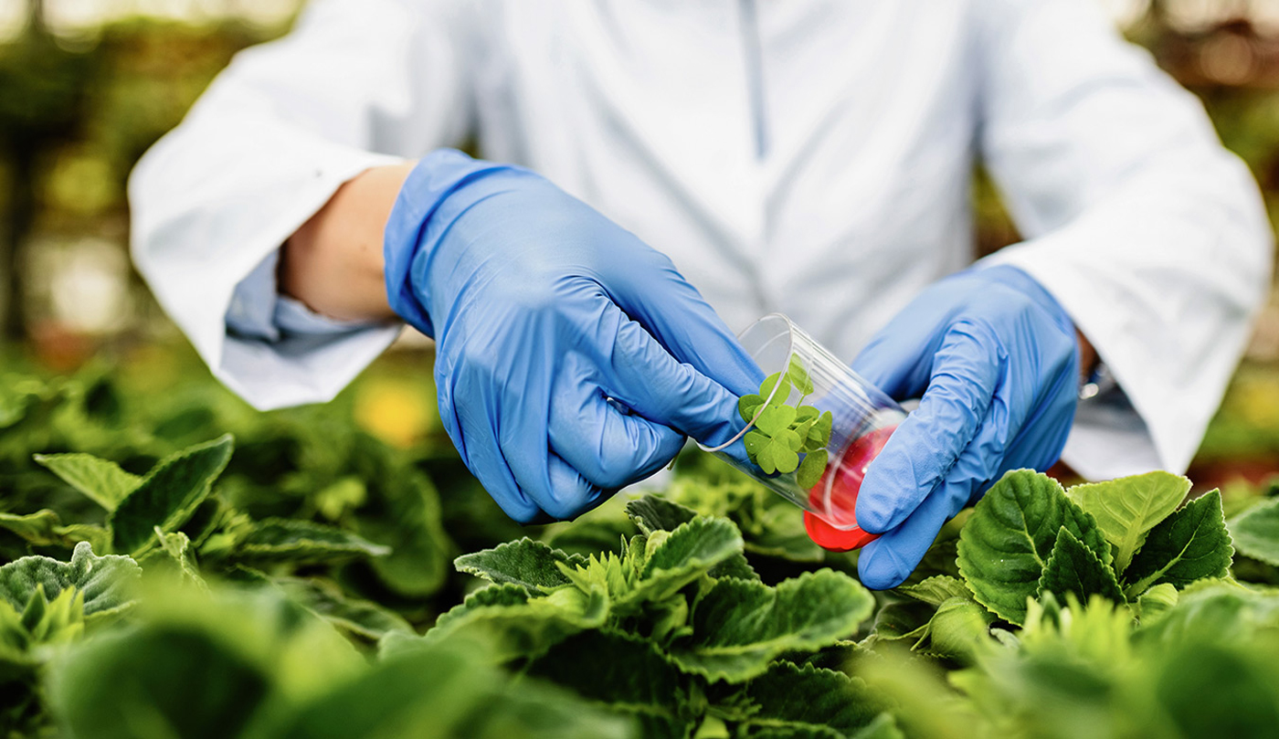 Research Grants Agricultural Sciences