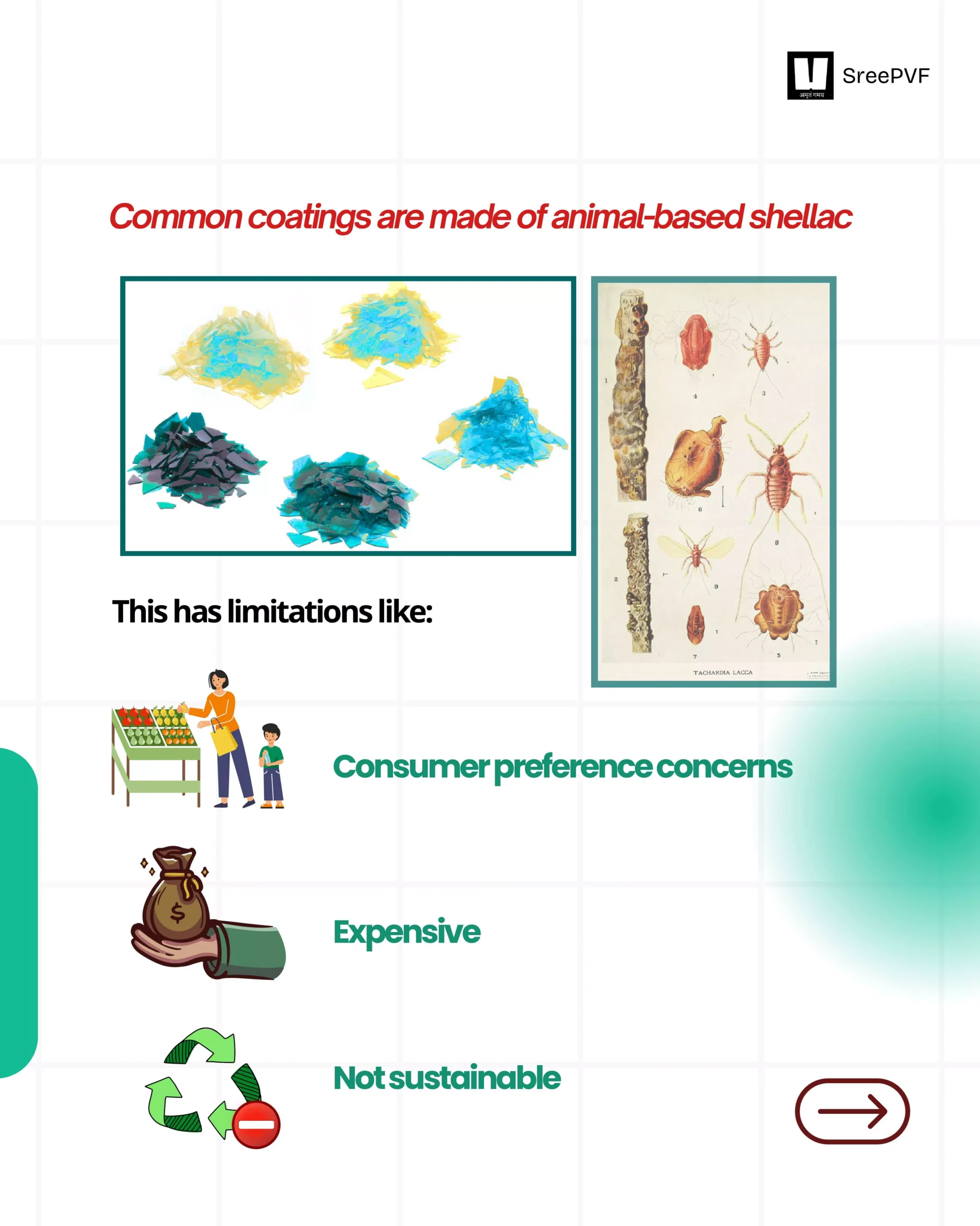 5682c4ad-a24d-4698-9d40-ac9bf8b9d138-2-6964cdfadad15