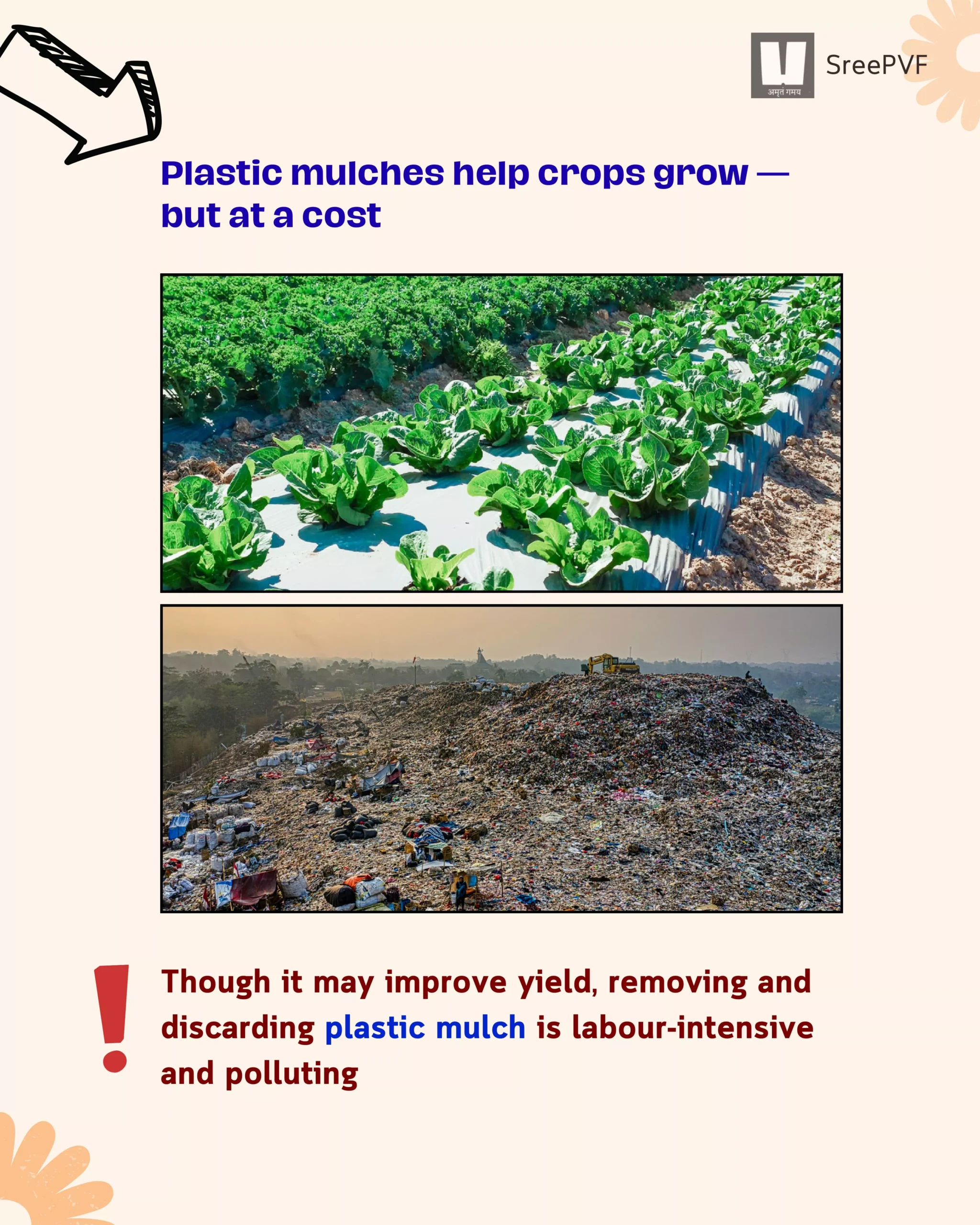 arindam-story-images-0-6957893a0ce2e