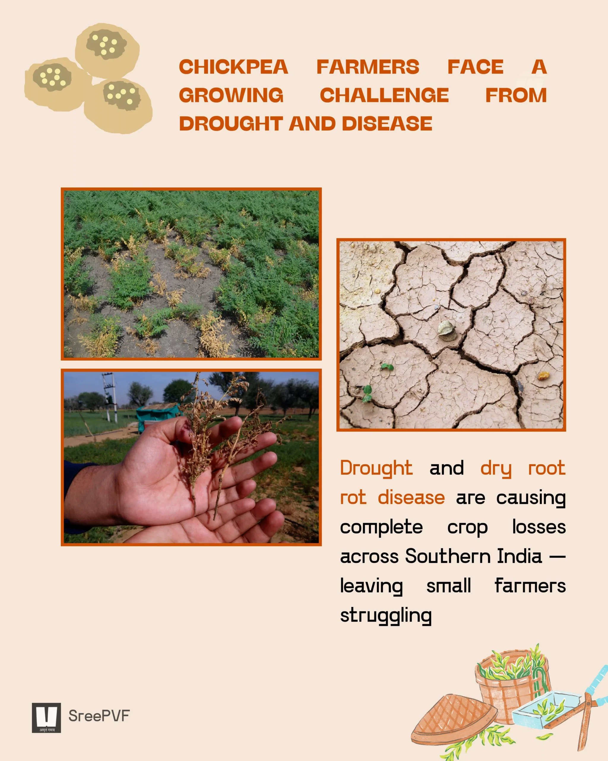 senthil-muthappa-story-images-0-69577a8a9a37a