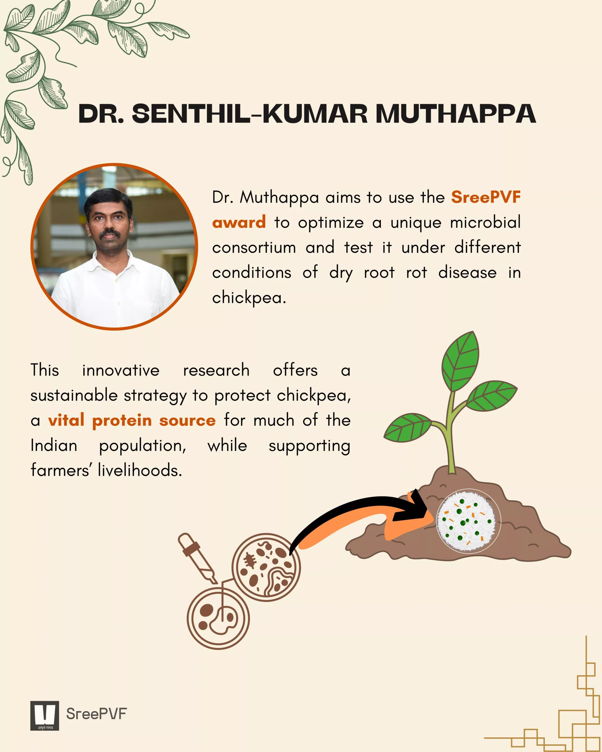 Beneficial microbes to safeguard chickpea farmers against dry root rot disease